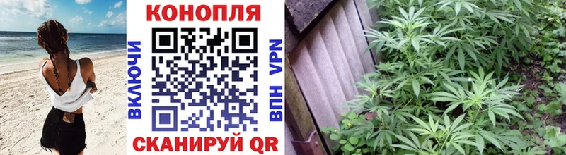 Бошки Шишки White Widow  Далматово 